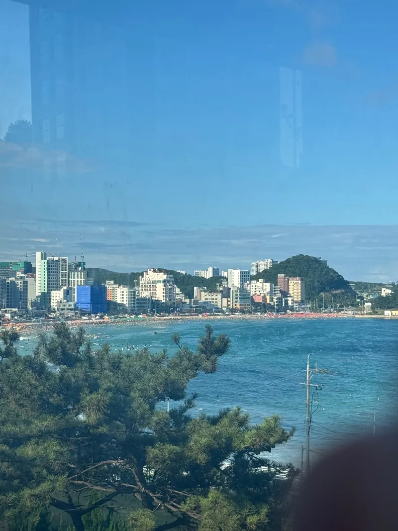 [부산 해운대] 달맞이길 오션뷰가 보이는 대형 평수 32