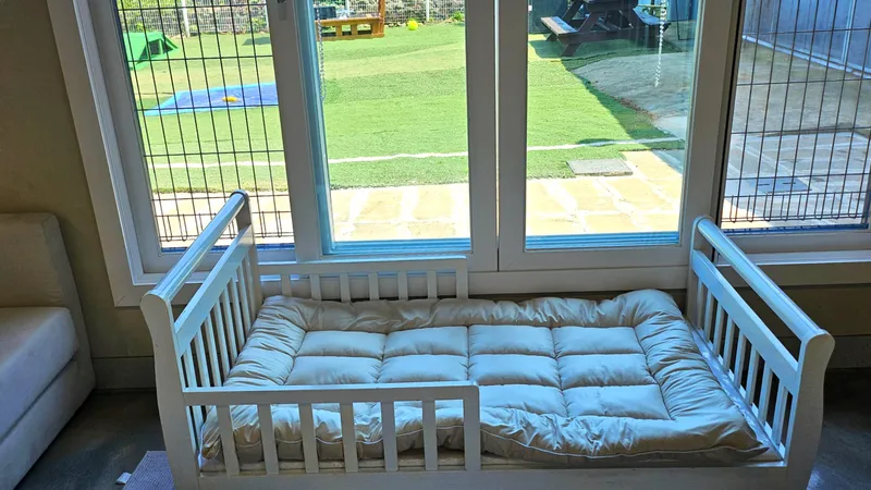 [Namwon, Seogwipo] Dog-friendly, independent stay in Namwon-eup, 3 minutes away, large dogs allowed 36