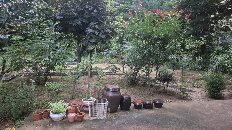 [Gangneung] A home-like emotional accommodation hidden in a Gangneung residential area 32