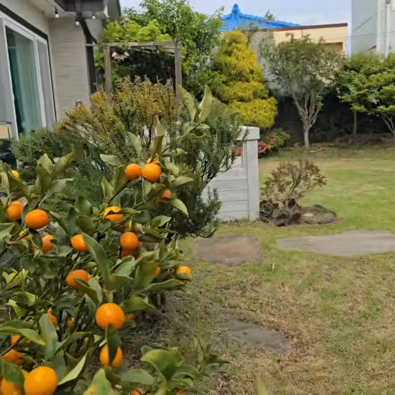[Hangyeong, Jeju] Jeju Ozen, a sentimental private home on the west coast 17