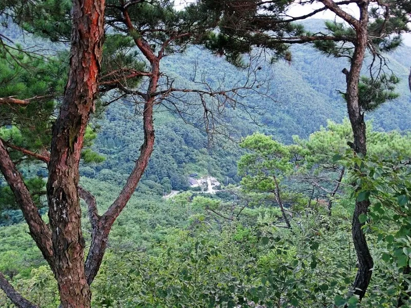[전남 구례] 섬진강변  청정산골 황토구들방  반려동물가능 17