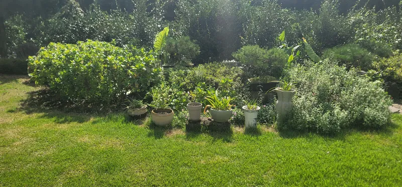 [Namwon, Seogwipo] #Wide lawn #Healing Sparrow 34