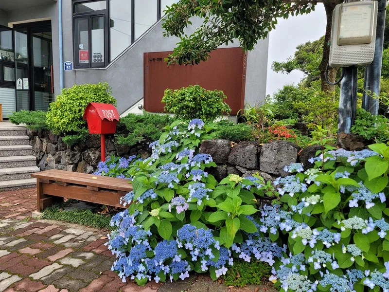 [Namwon, Seogwipo] Jeju Island Wimi Pension #15Days #1Month #1Year 40