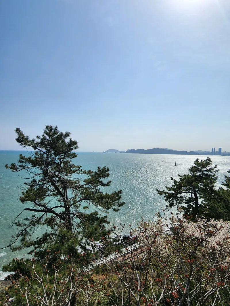 [부산 해운대] 달맞이 해돋이 명소 도보5분#놀이방#애견동반 가능 44