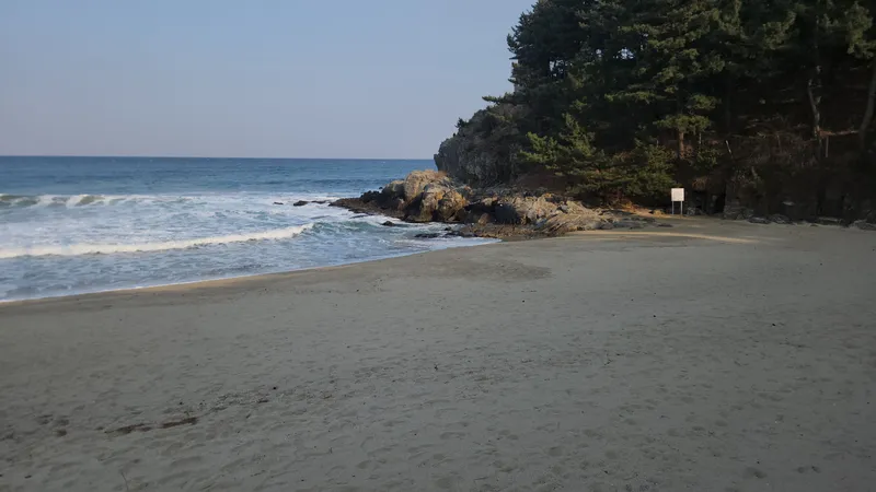 [강원 동해] 묵호 등대, 오션뷰 전망 맛집 29