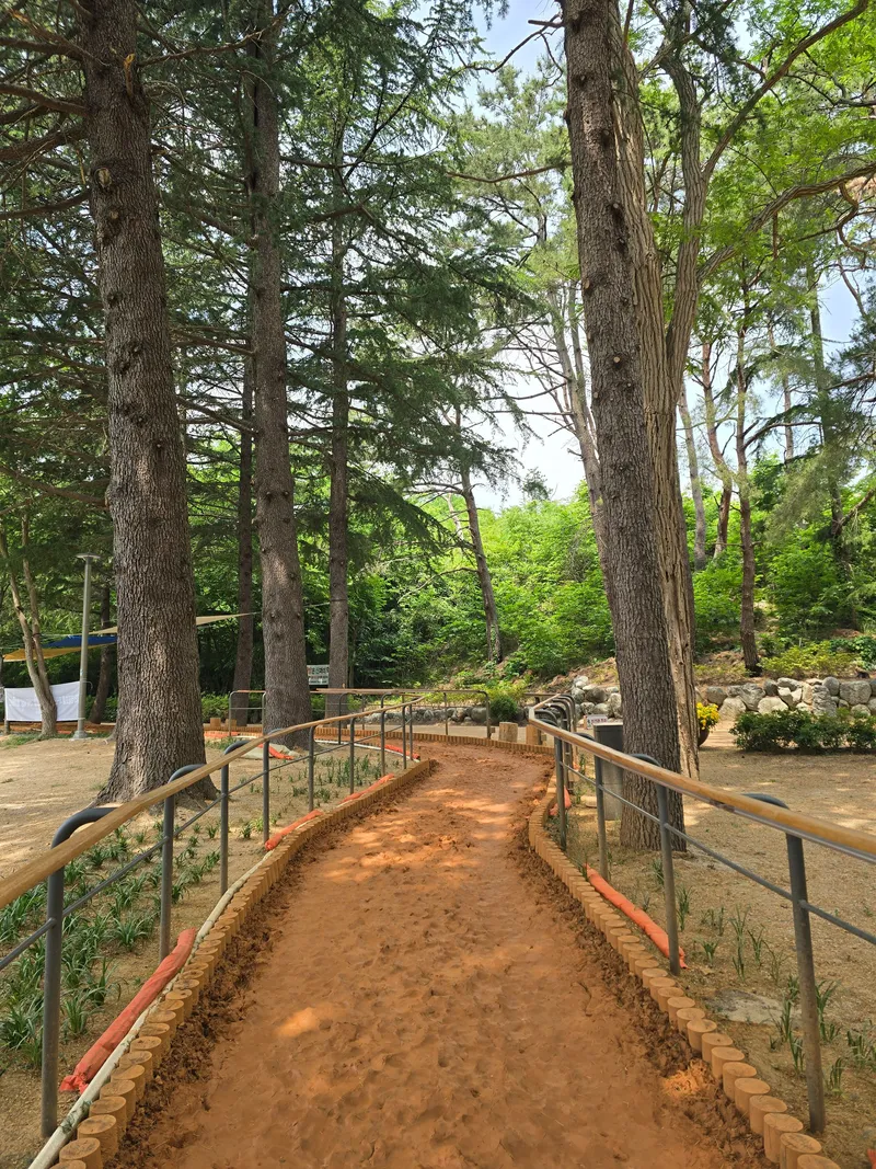 [Sokcho] Bori House #LargeDogsAllowed #LighthouseBeach #YeongrangLake #DogPlayground 31