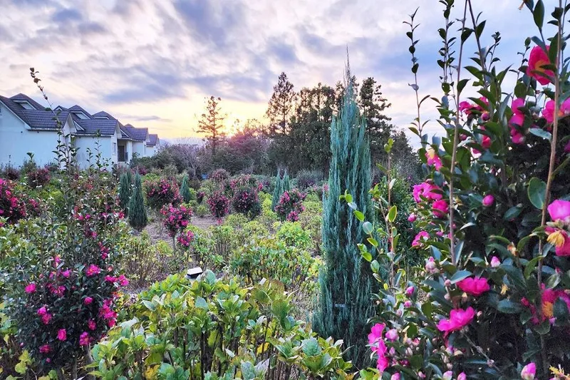 [Jocheon, Jeju] European-style accommodation perfect for a quiet rest #KidsPension #Duplex #TangerineExperience #FlowerGarden 20