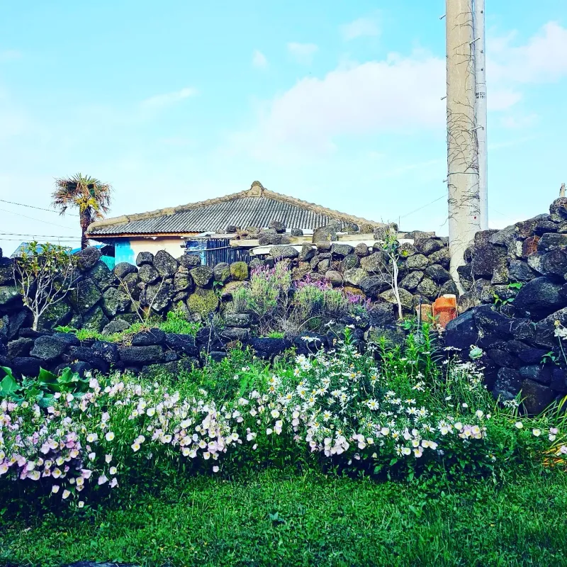 [Aewol, Jeju] 1 Minute from Aewol Sea, Every Moment Becomes Rest / Healing Private Stay / Fully Furnished Two-Room 24