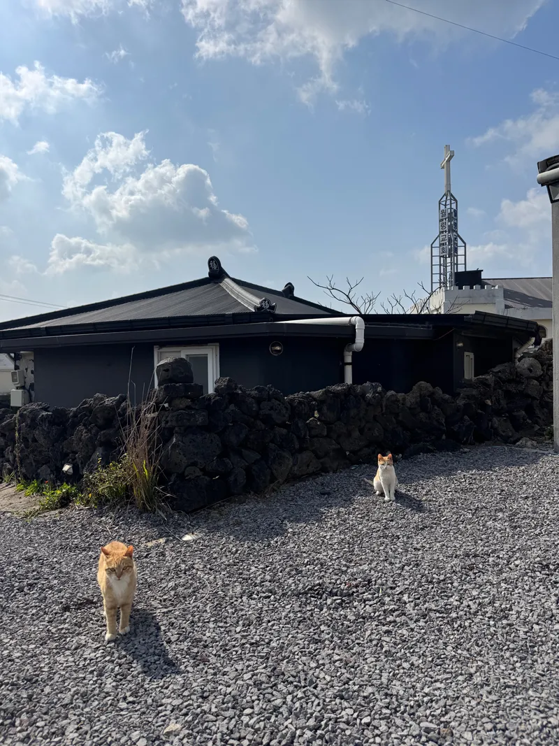 [Hallim, Jeju] Wolyeong Beach Jeju emotional old house 47