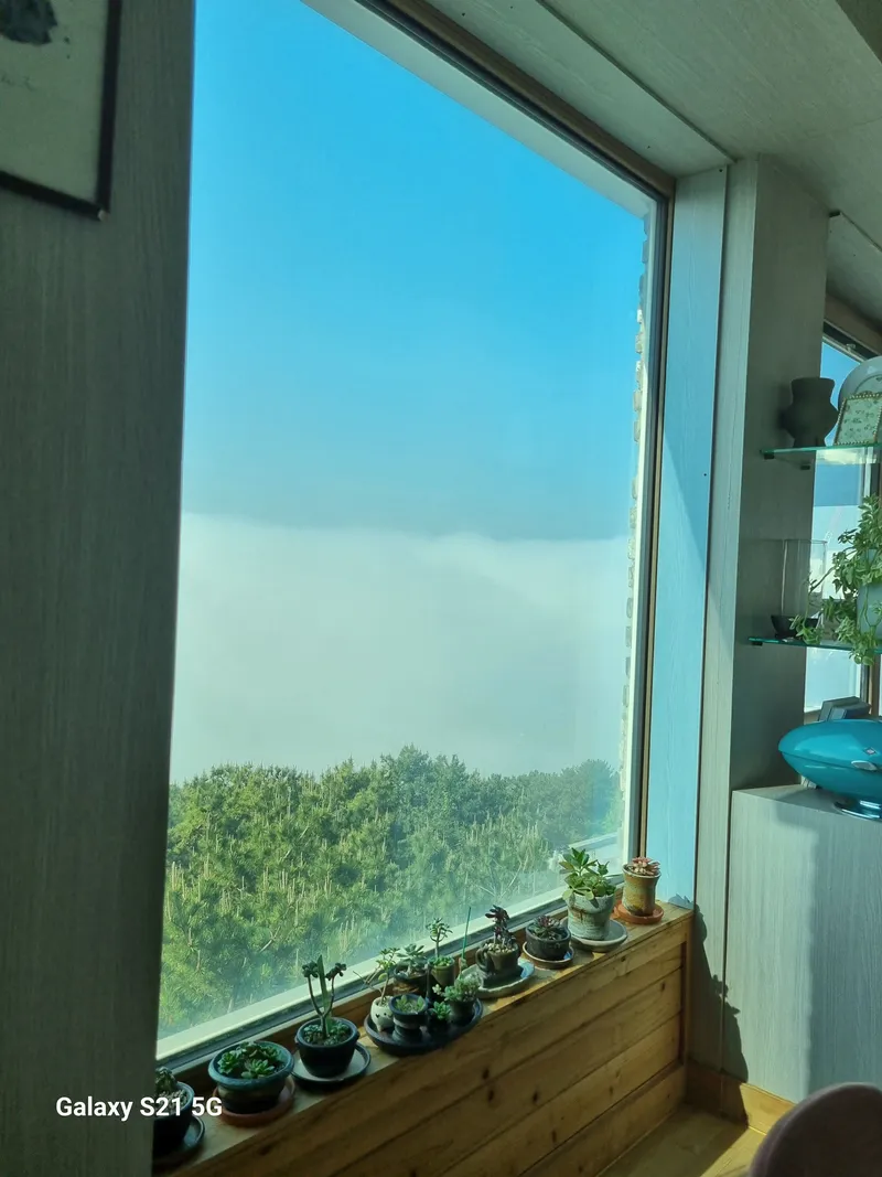 [Haeundae, Busan] Goo Hae's Homes # Healing accommodation where you can enjoy Oryukdo, Dongbaek Island, and Daema Island 60