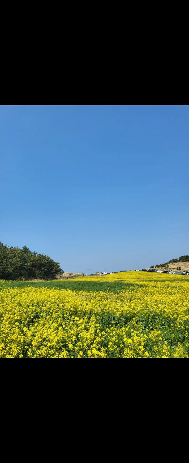 [제주 한림] 편안한쉼터 제주서쪽 힐링하기 좋은집 숲세권 협재해변차로5분 61