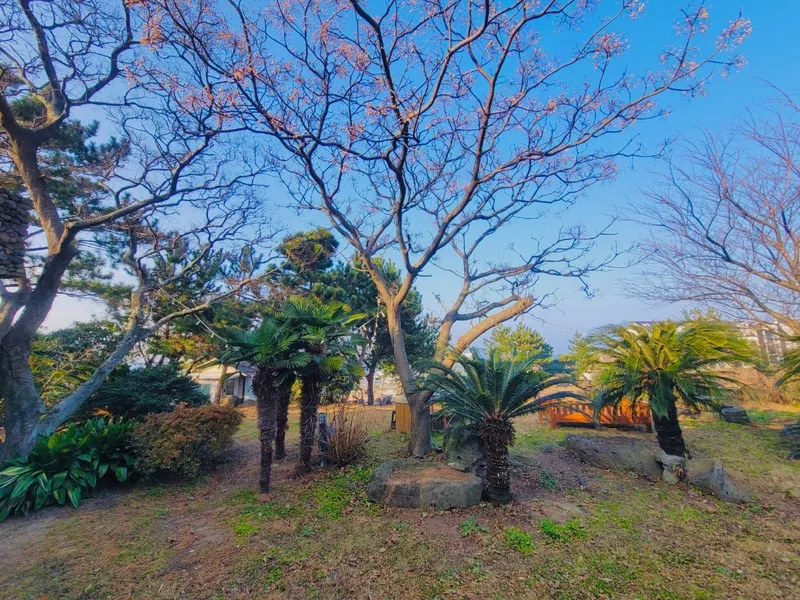 [제주 애월] 1000평 정원이 있는 오션뷰 독채 #해안도로 #스세권 52