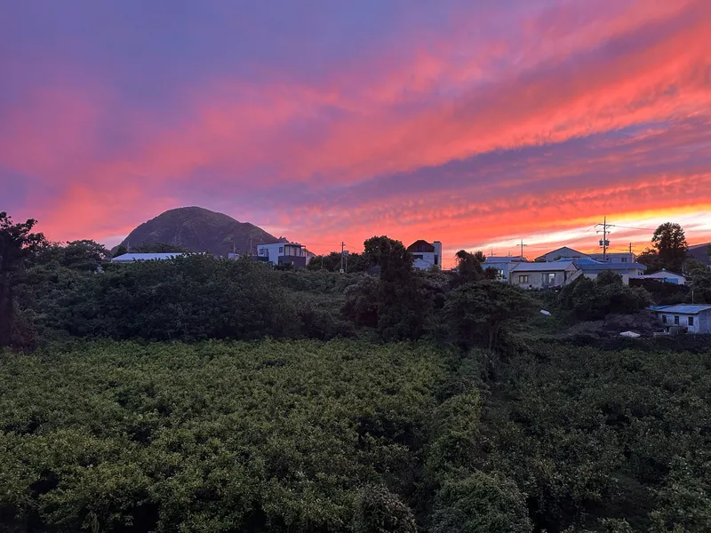 [서귀포 안덕] 화순해수욕장 및 산방산 관광지 인근 투룸#산방산뷰#편의시설굿 32