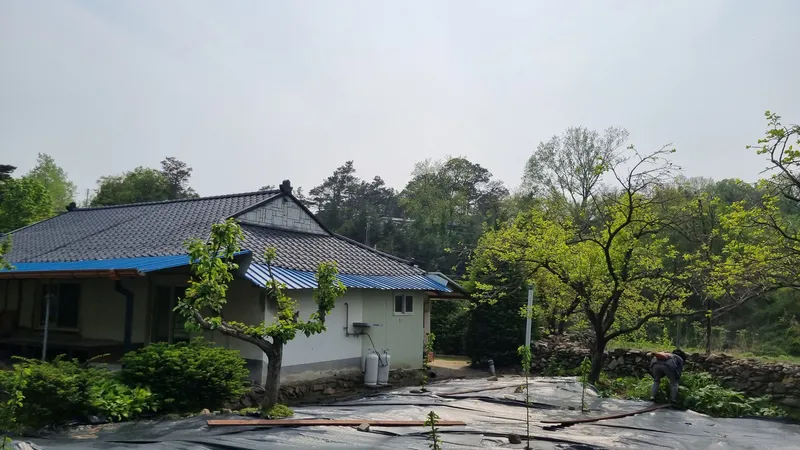 [충남 논산] 시골살이/돌담/한옥/독채/반려동물 21