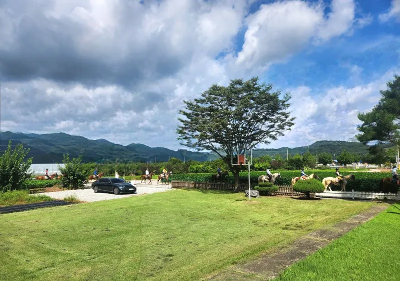 [충북 충주] 마실길11 26