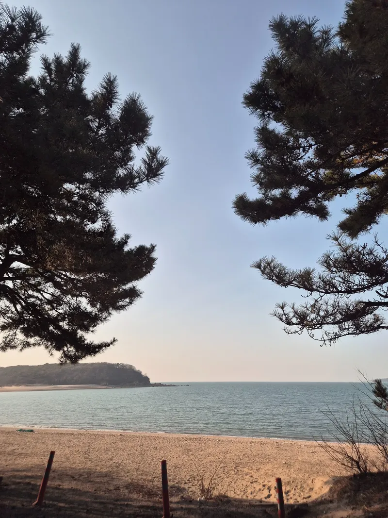[Yeongjong, Incheon] 1 minute walk from Incheon Yeongjong Sky City Central Shopping Center Station 16
