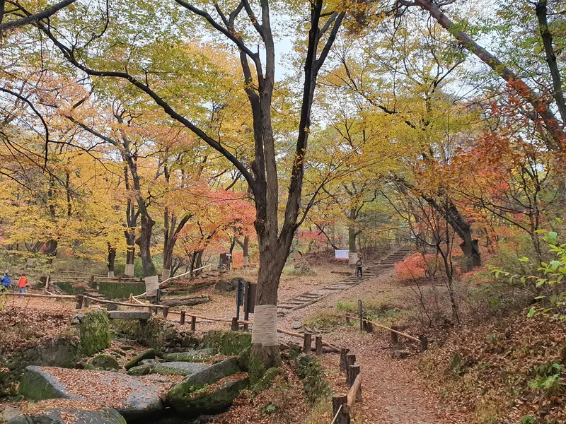 [서울 종로] 종로의 조용한부암동1 투룸(부암동,평창동인근) 25