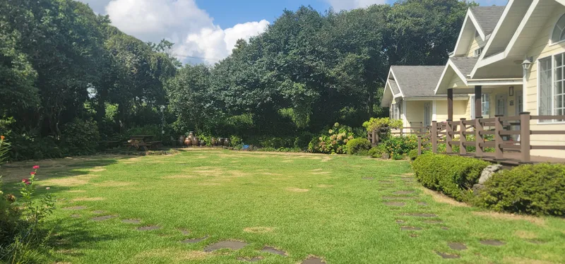[Namwon, Seogwipo] #Wide lawn #Healing lark 27
