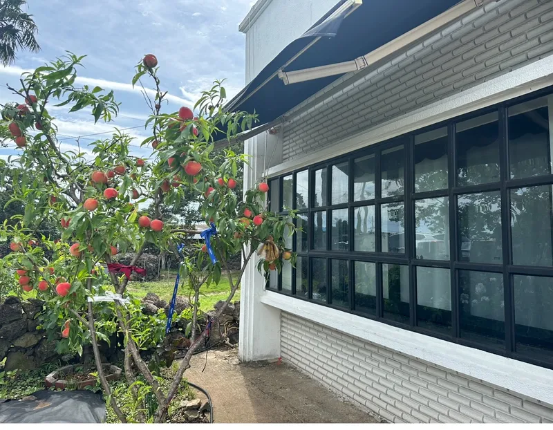 [Aewol, Jeju] Private house stay with a yard_A house where the charm of Jeju and the comfort of home coexist 43