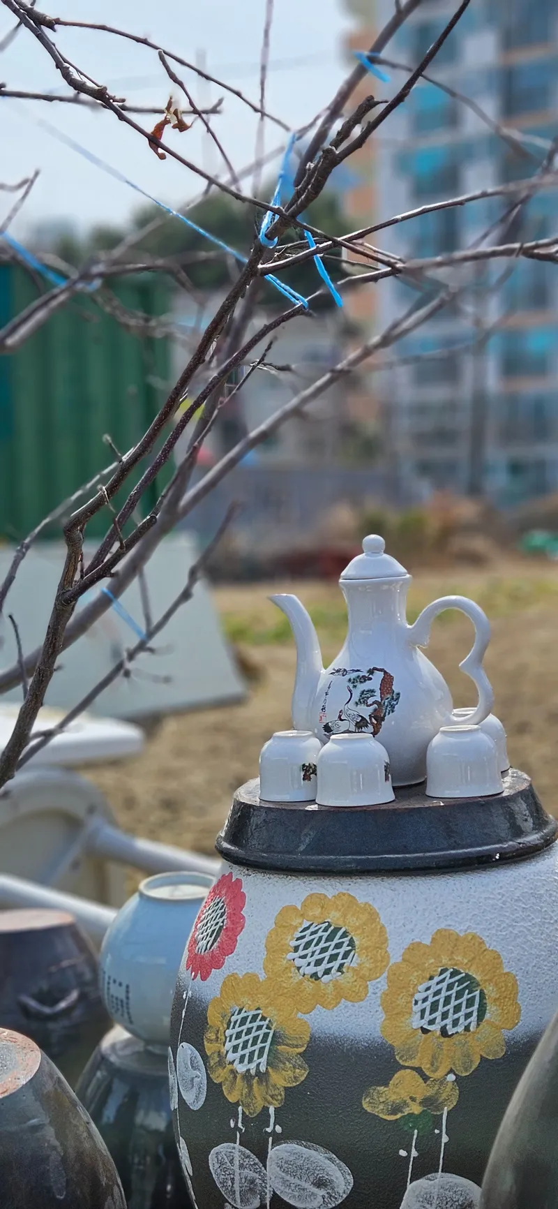 [Gangneung] A comma in the daily life of Chodang, #Walker #Sea #1.5Room 58