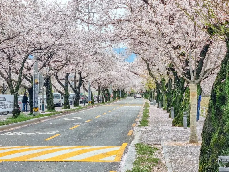 [Dalseong, Daegu] Three-room apartment with fresh air near Songhae Park and Bisulsan Mountain 15
