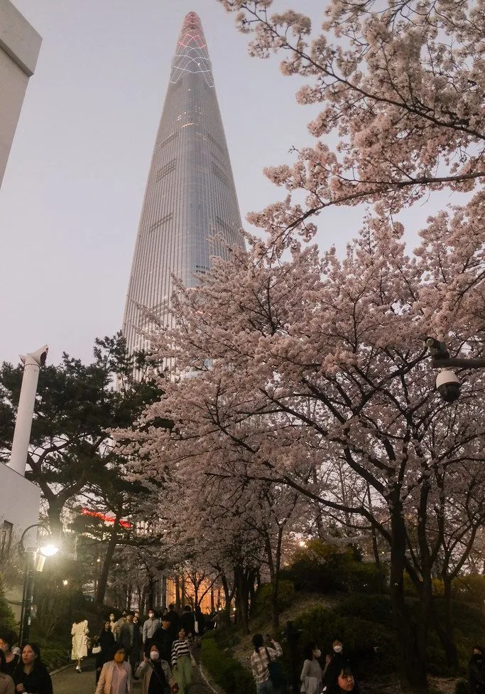[서울 송파] 무료주차·지상·가족·5인·9호선3분·롯데·잠실·강남 73