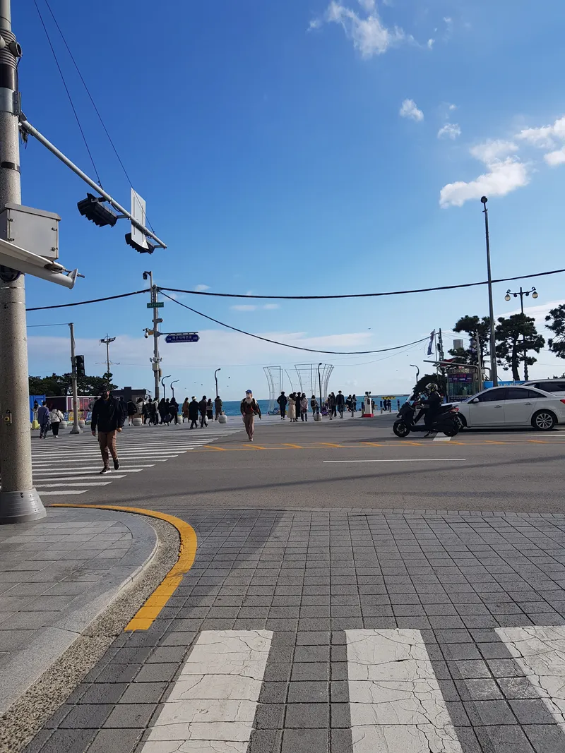 [부산 해운대] 달맞이 해돋이 명소 도보5분#놀이방#애견동반 가능 39