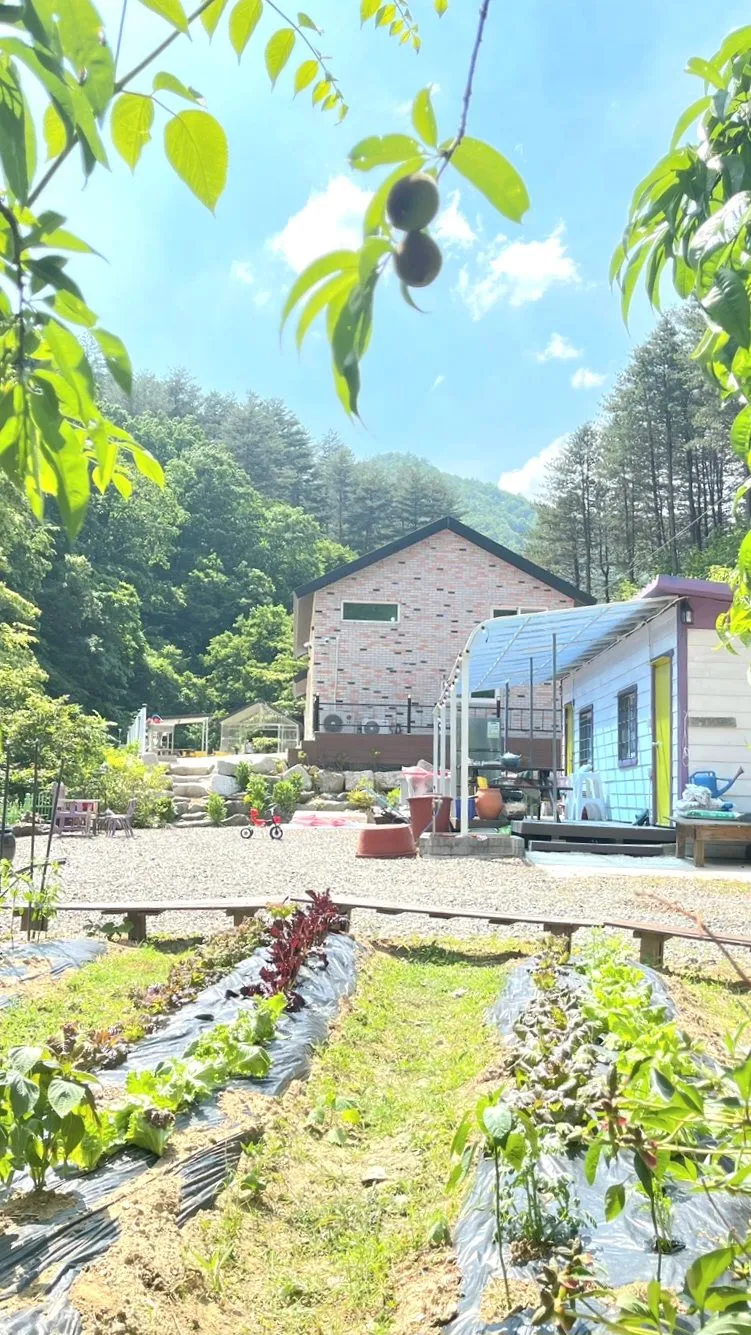 [Yangyang] Private, dog-friendly barbecue area 20 minutes from Hajodae near Beopsuchi Valley 41