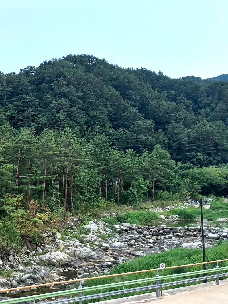 [강원 강릉] 소금강 계곡물 도보1분  물놀이 가능한1층 펜션 24