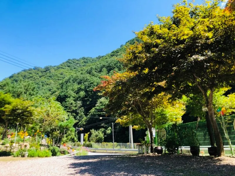 [강원 인제] 펜션,계곡,마당,숲,온천,요양 22