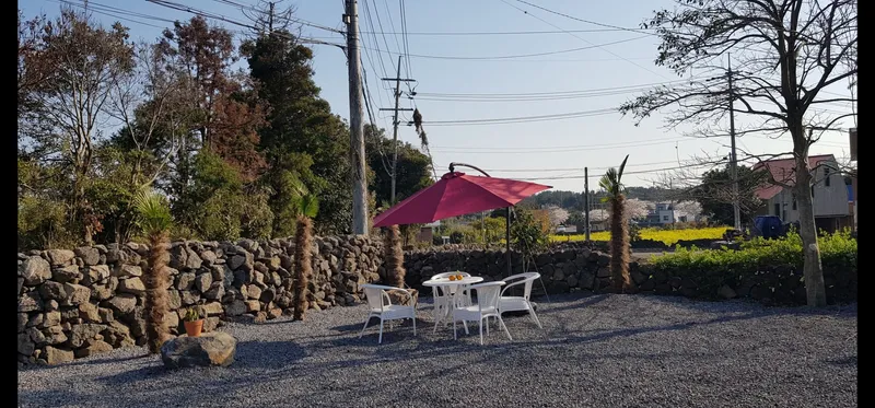 [Seongsan, Seogwipo] Two-room detached house with a large yard full of palm trees #BBQ 16