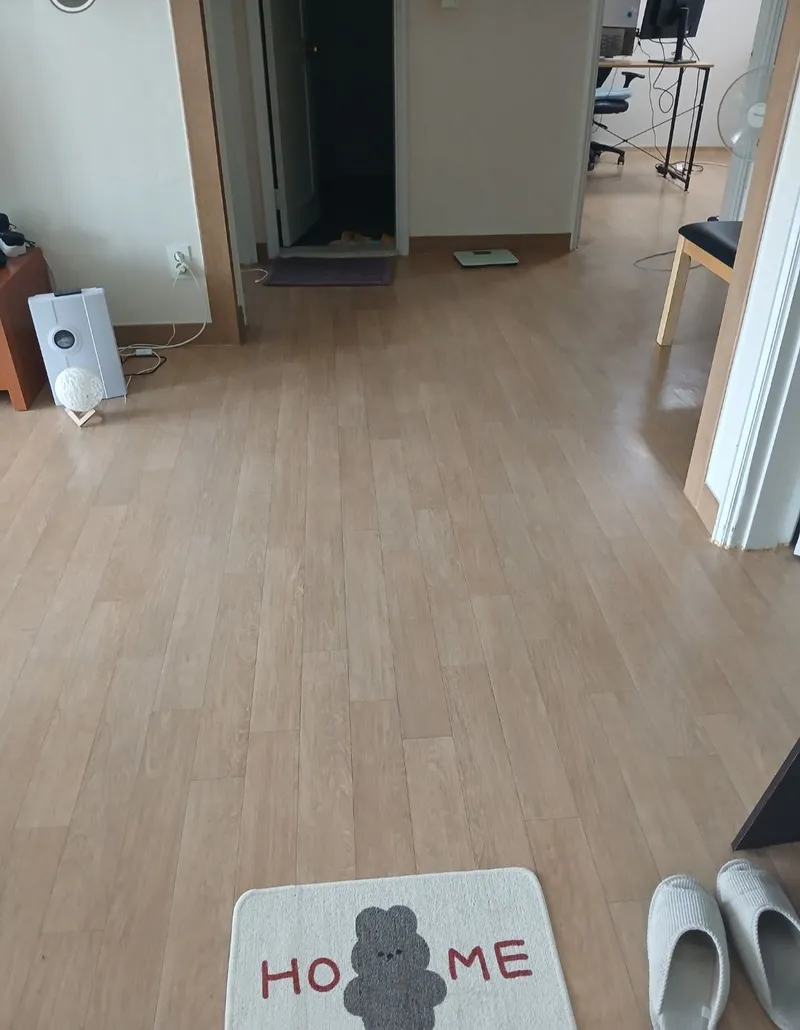 [대전 유성] 성심당 차로 10분 숲힐링 영화촬영지 24