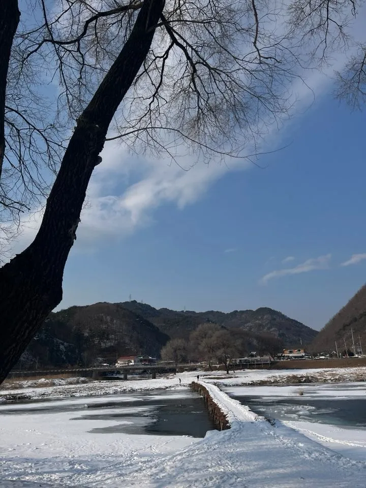 [강원 영월] 섶다리 앞 평창강 숲뷰 독채 31