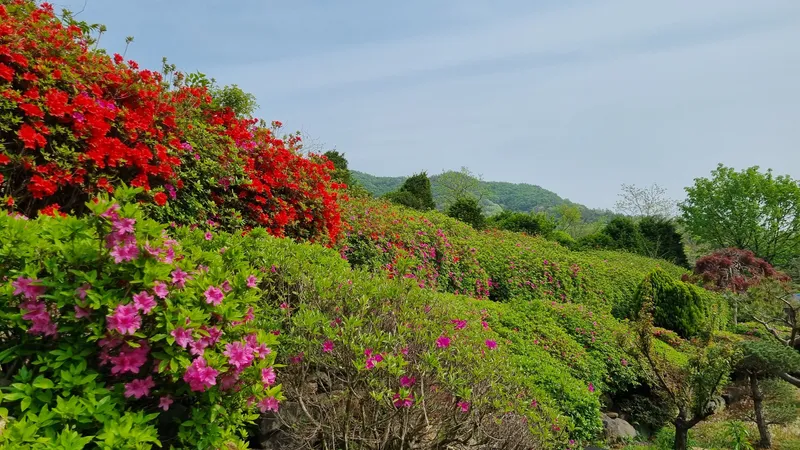 [충남 논산] 시골살이/돌담/한옥/독채/반려동물 22