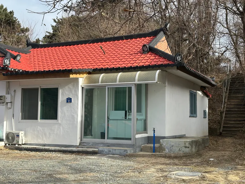 [강원 속초] 대포항 숲을 품은 집, 댕댕이와 전원생활 18