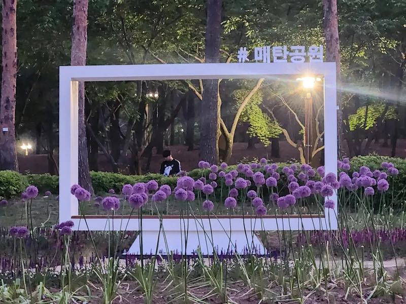 [경기 수원][수원 영통] 아주대 삼성전자 컨벤션센터 법원 25