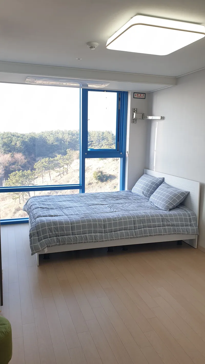 [Jungmun-dong, Seogwipo] Enjoy a 360-degree view of Mt. Halla and the wide open Jungmun Sea 2