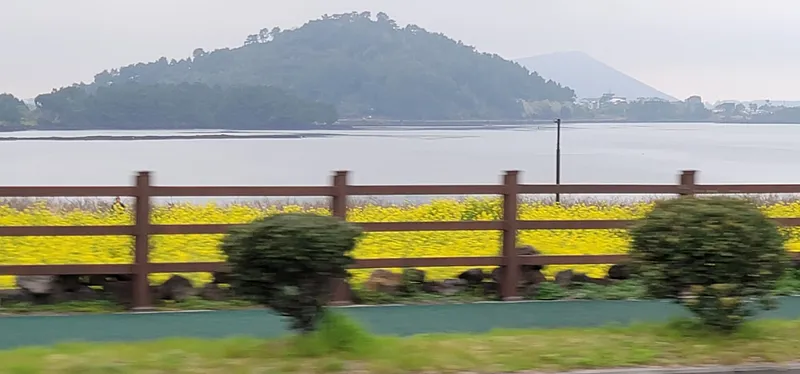 [Seongsan, Seogwipo] Attractive and comfortable accommodation near the beach 10