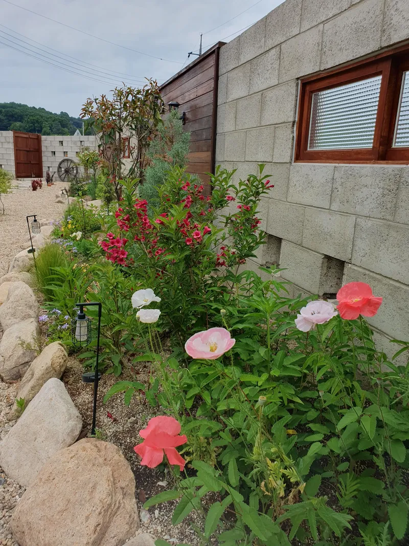 [Cheongju] Countryside cottage. Taebong Stay 15