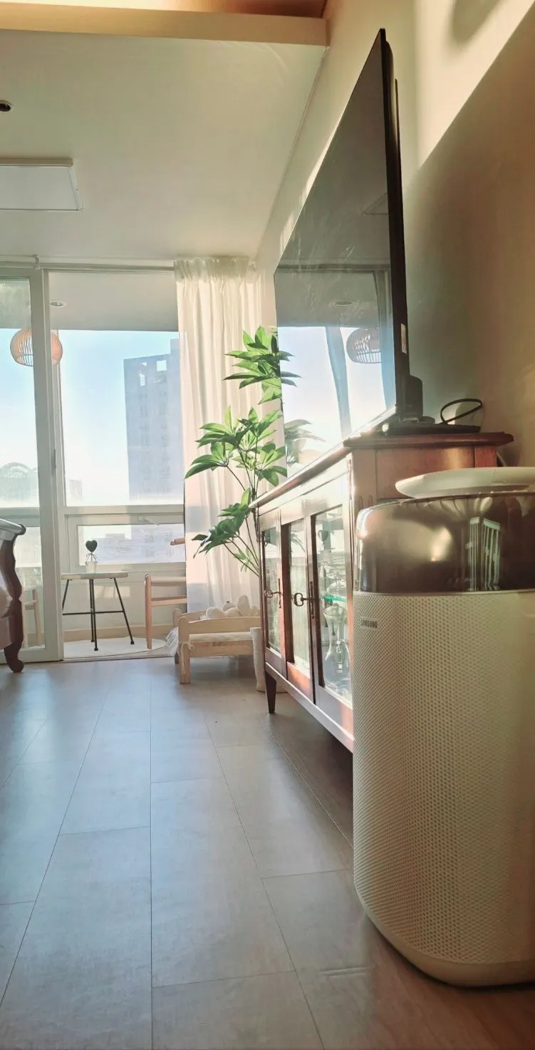[Busanjin, Busan] Seomyeon/Jeonpo Cafe Street. Dogs and cats allowed. 8