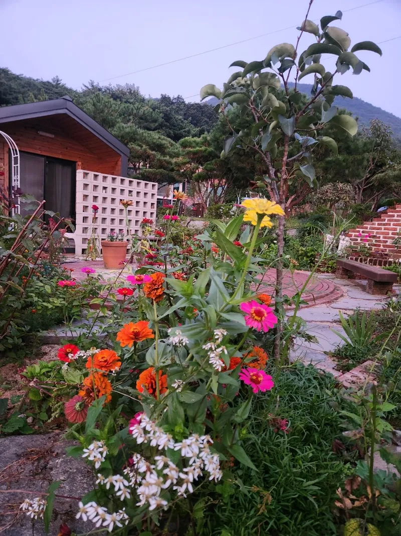 [Boryeong][Boryeong, South Chungcheong Province] A house with a beautiful garden 15
