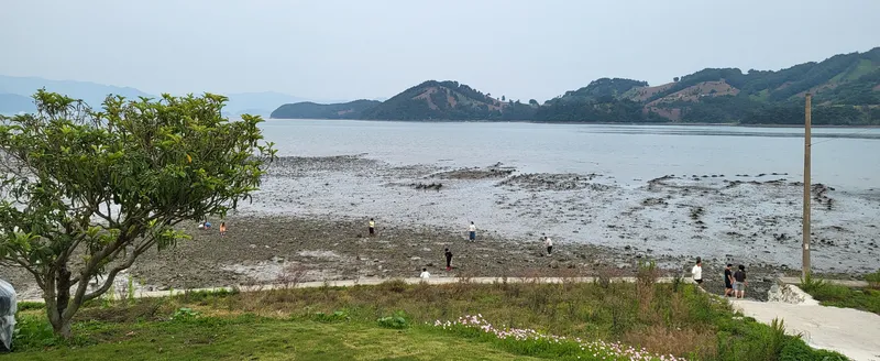 [경남 남해] 앞마당이 바다, 갯벌조개잡이, 금잔듸마당(집 전체사용해요) 21