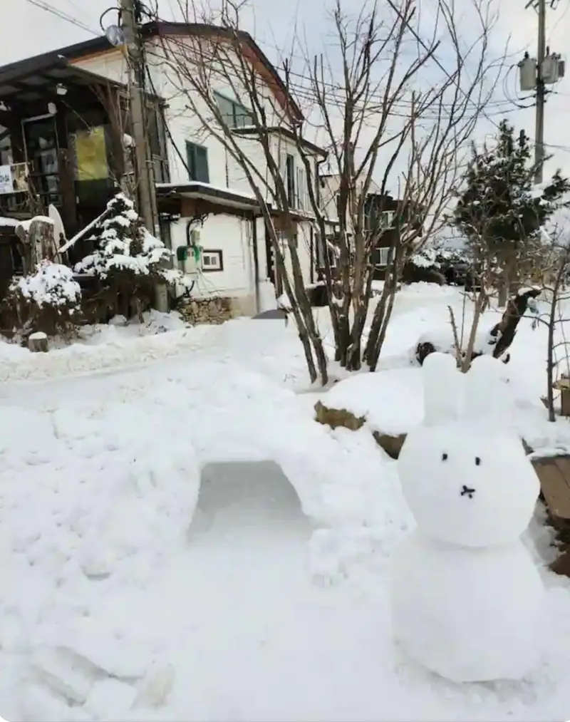 [Pyeongchang] Daegwallyeong Christmas 12