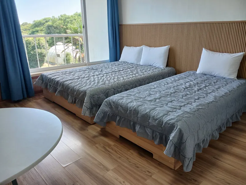 [Pyoseon, Seogwipo] Forest Garden View One-Room #203 16