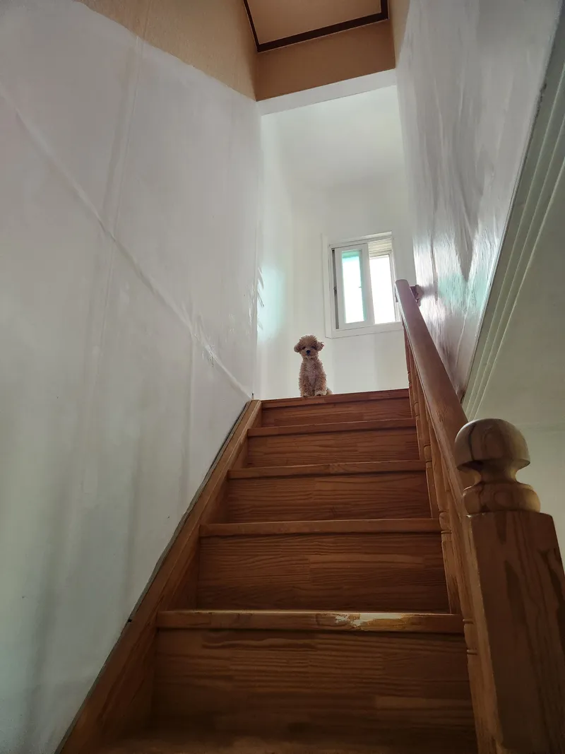 [Yeoju] Namhangang River Cute 2-story country house with a dog in the yard 9
