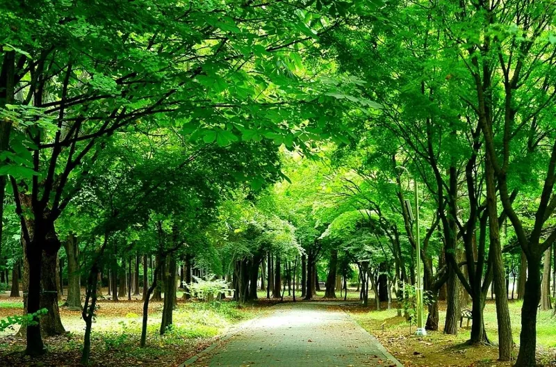 [서울 서초][서울 강남 서초] 3호선/신분당선 4인가능,2베드 32