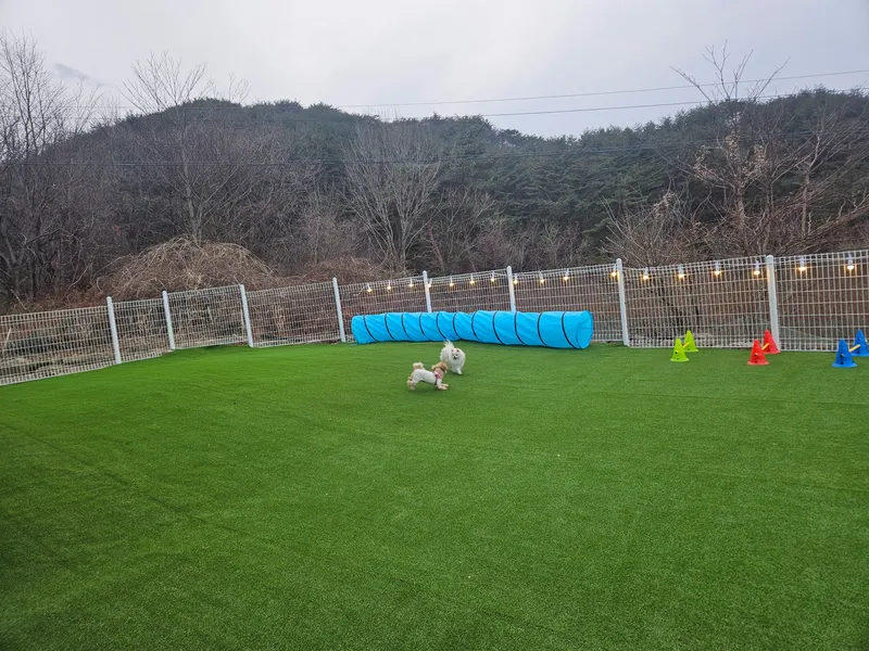 [Chungju][Chungju-si, Chungcheongbuk-do] Wolaksan View 203 23