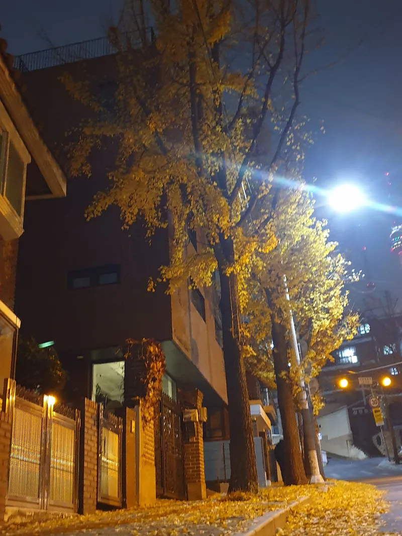 [Yongsan, Seoul] New Rooftop with Seoul Night View from Seoul Station, Gwanghwamun, Myeongdong, and Namsan Tower 39