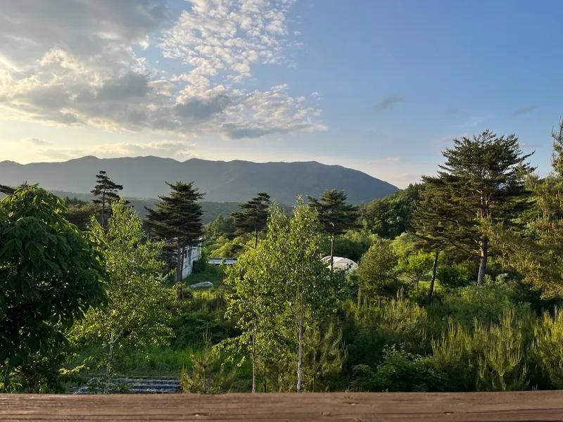 [Pyeongchang] Wildflower Friends_Bongpyeong Forest Complex One-Room 101 18