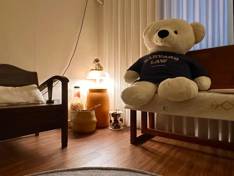 [Hallim, Jeju] Pet-friendly western-facing emotional lodging, private bunker for families 14